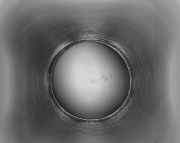 X0000116871458200912291310