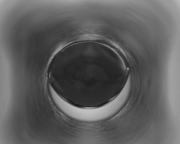 X0000116871459200912291310