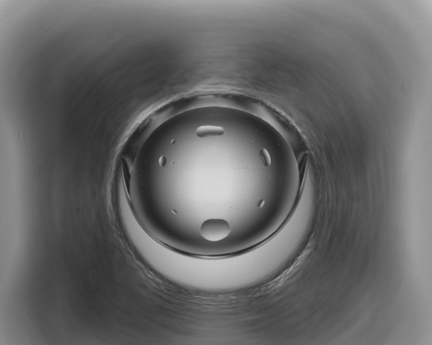 X0000116871461200912291310