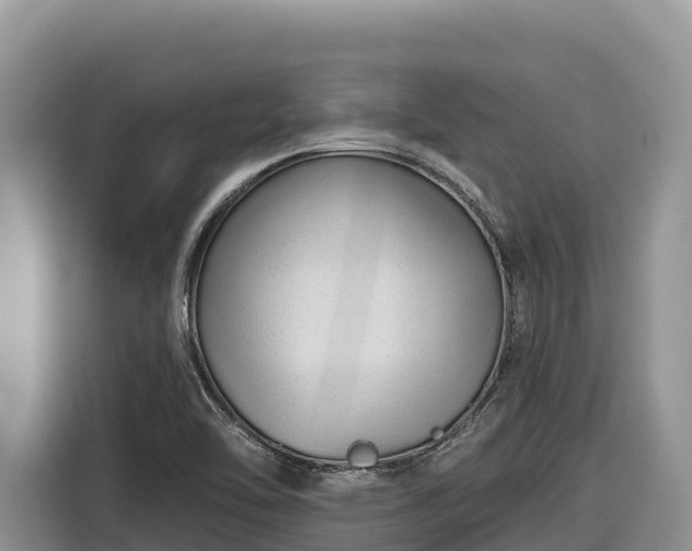 X0000116871462200912291310