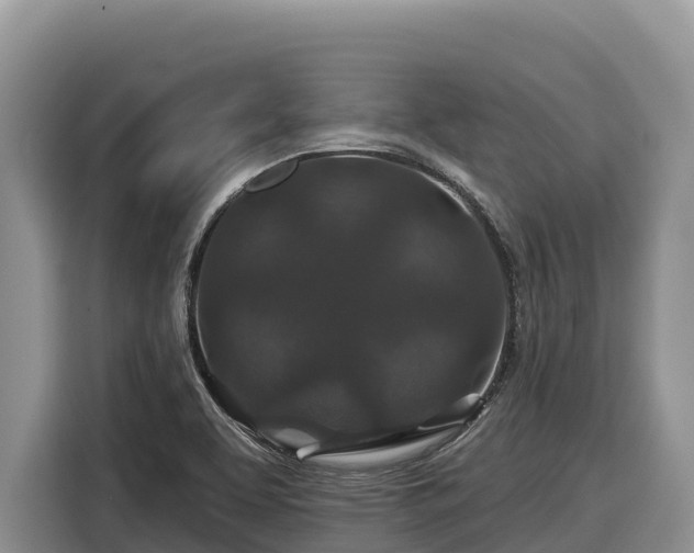 X0000116871463200912291310