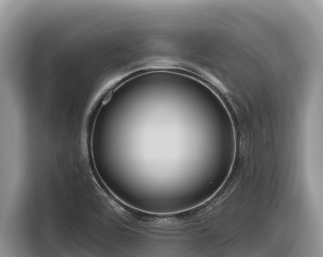 X0000116871464200912291310