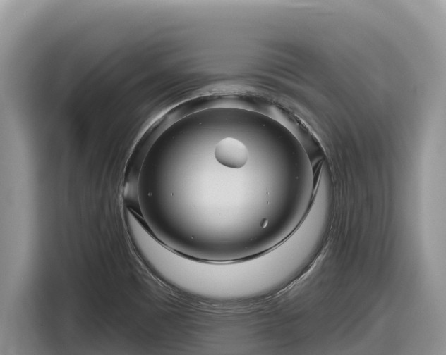 X0000116871465200912291310