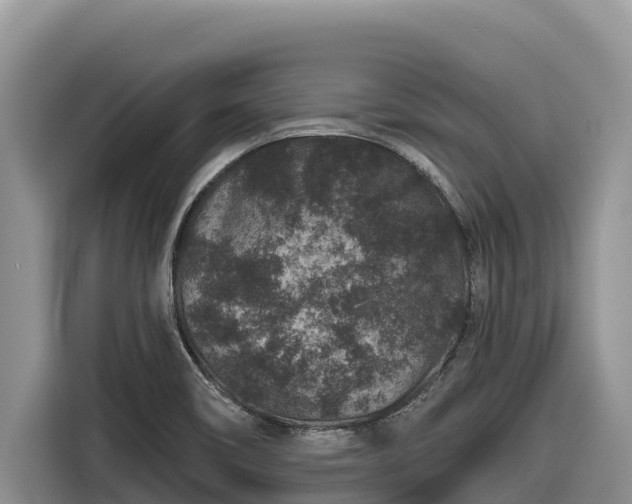 X0000116871466200912291310