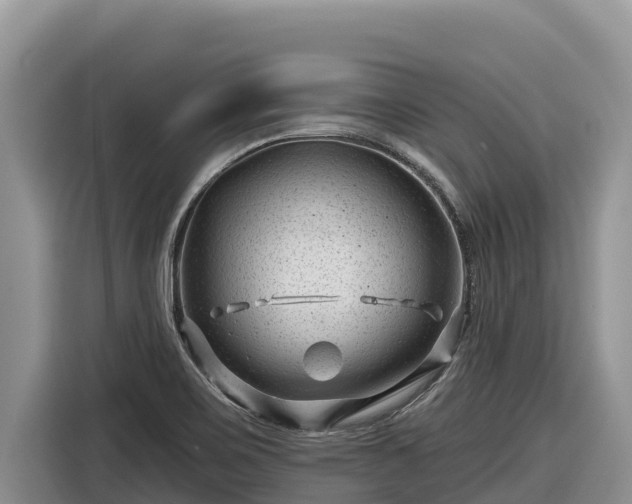 X0000116871467200912291310
