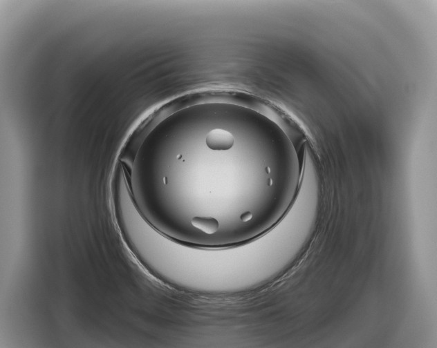 X0000116871468200912291310