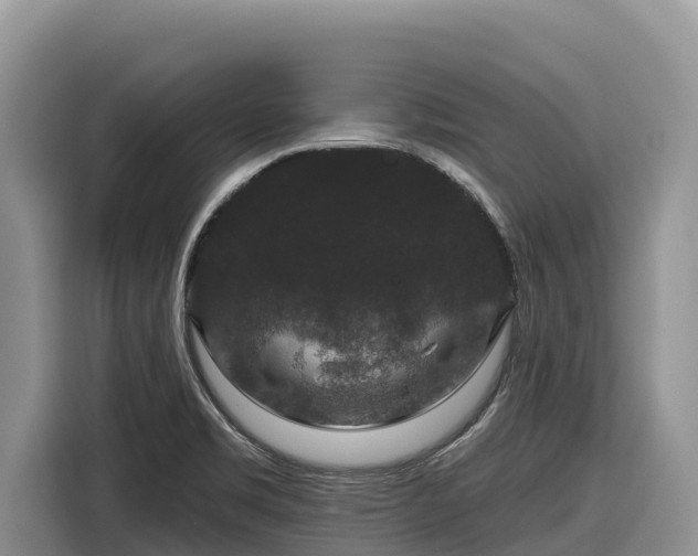 X0000116871469200912291310