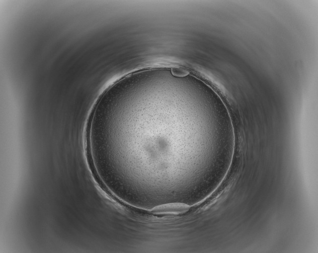 X0000116871471200912291310