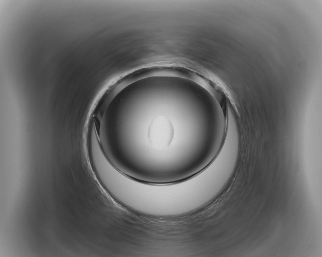 X0000116871472200912291310