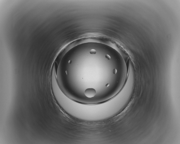 X0000116871473200912291310