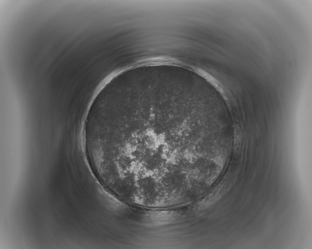 X0000116871474200912291310