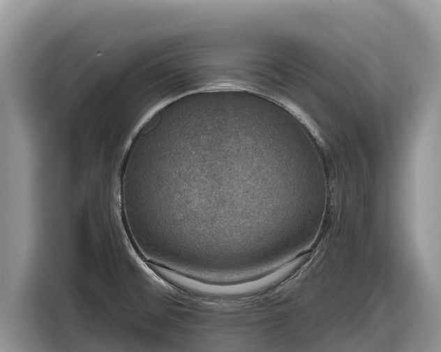 X0000116871476200912291310