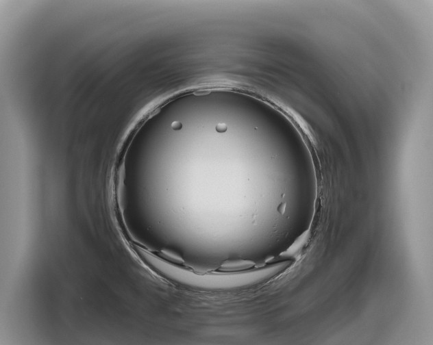 X0000116871477200912291310