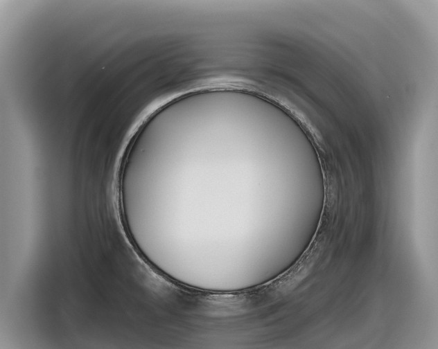 X0000116871478200912291310