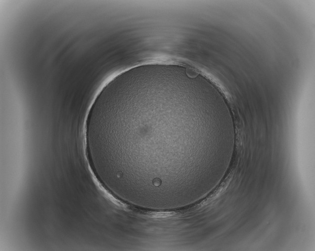 X0000116871479200912291310