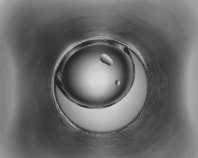 X0000116871480200912291310