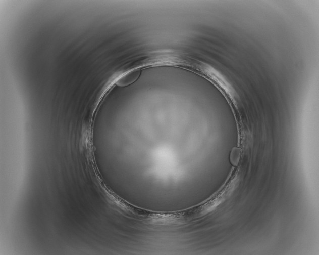 X0000116871481200912291310