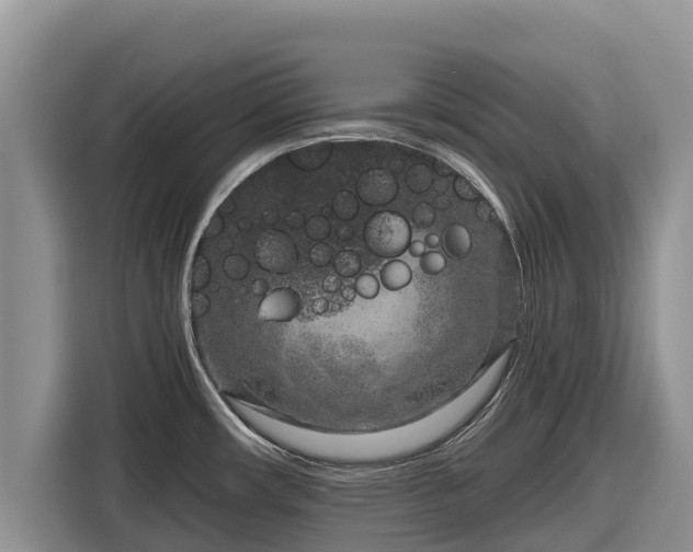 X0000116871482200912291310