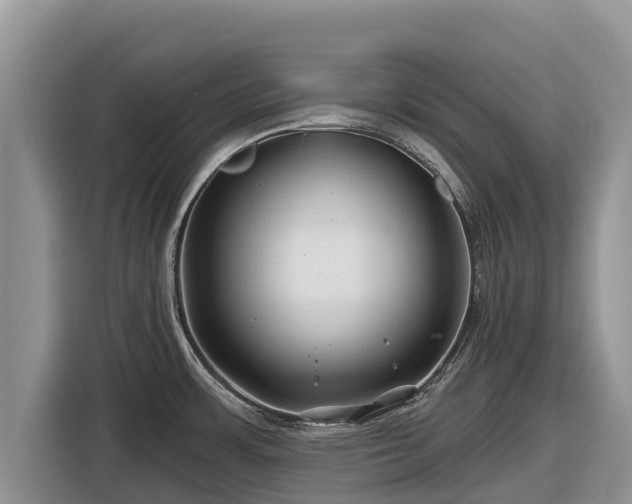 X0000116871483200912291310