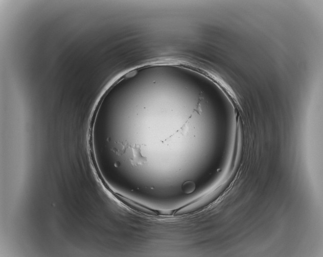 X0000116871484200912291310