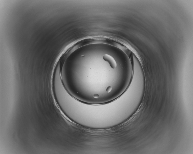 X0000116871485200912291310