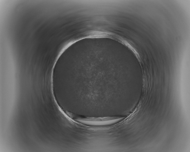 X0000116871487200912291310