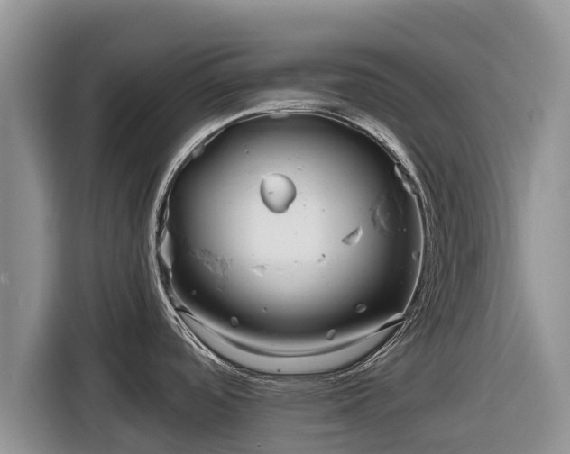 X0000116871488200912291310
