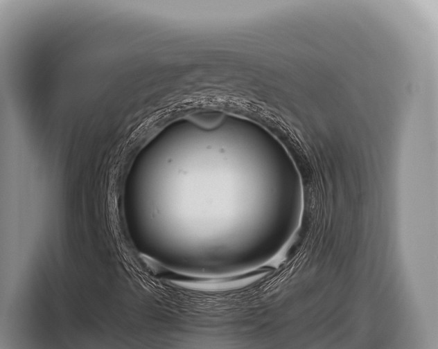 X0000116871489200912291309