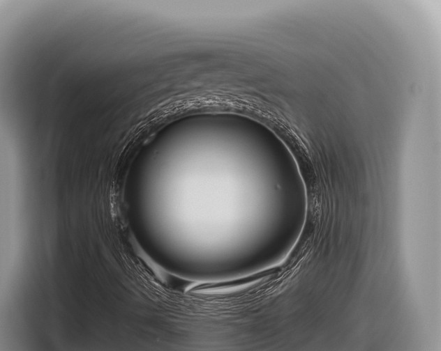 X0000116871490200912291309