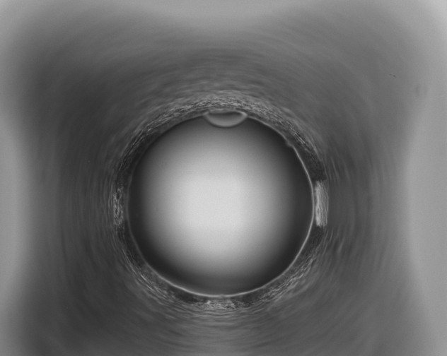 X0000116871491200912291309