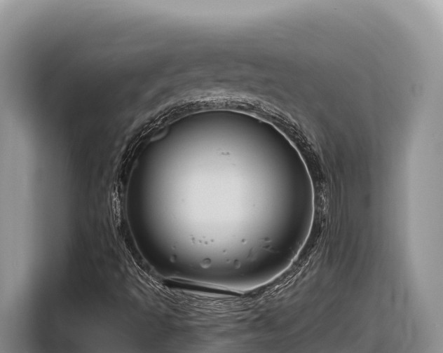 X0000116871493200912291309