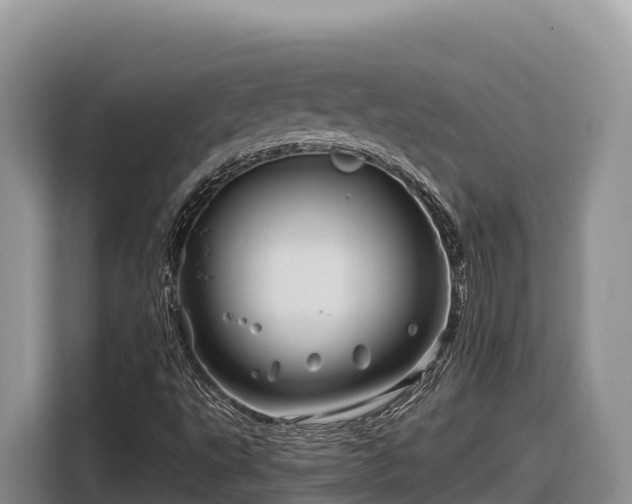 X0000116871495200912291309