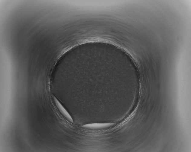 X0000116871497200912291309
