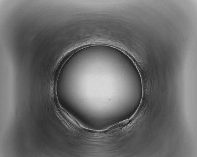 X0000116871499200912291309