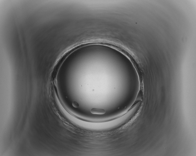 X0000116871501200912291309