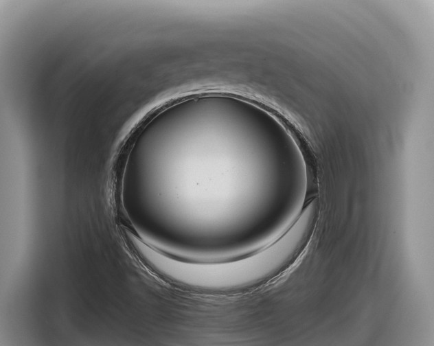 X0000116871502200912291309