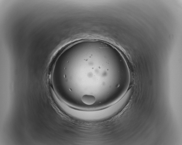 X0000116871503200912291309