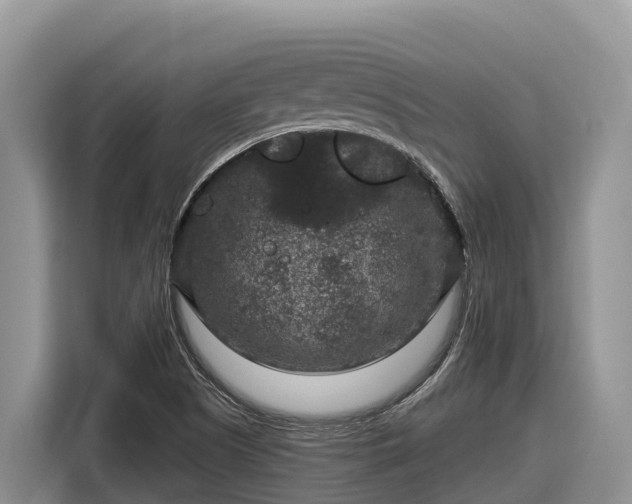 X0000116871505200912291309