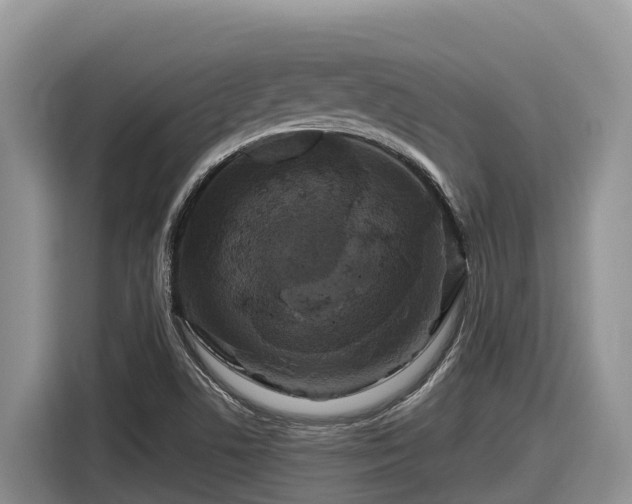 X0000116871506200912291309