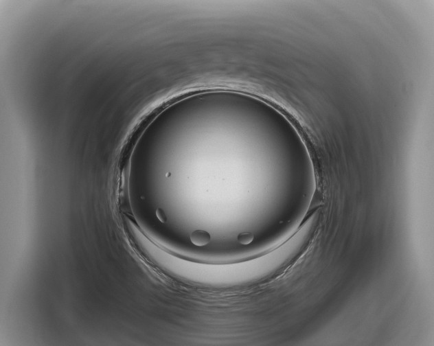X0000116871507200912291309