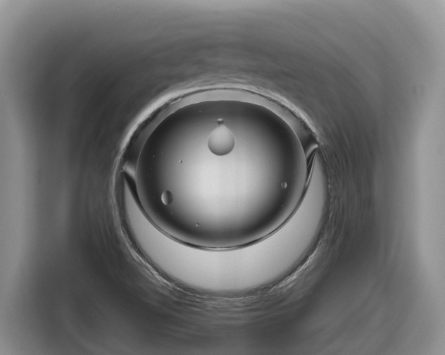 X0000116871510200912291309