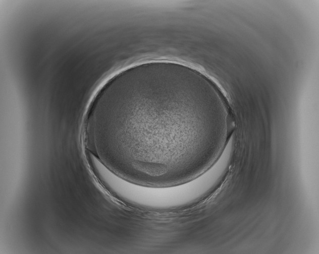 X0000116871511200912291309