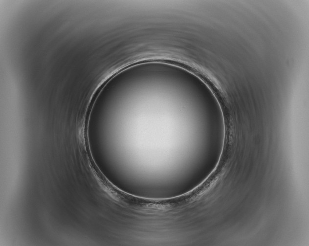 X0000116871513200912291309
