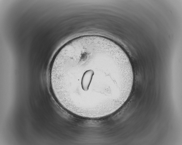 X0000116871514200912291309