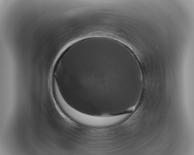 X0000116871515200912291309