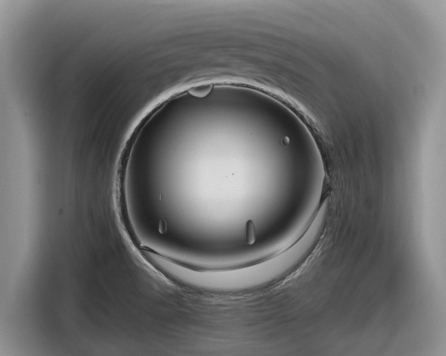 X0000116871518200912291309