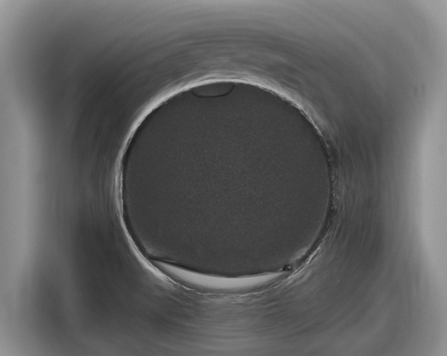 X0000116871519200912291309