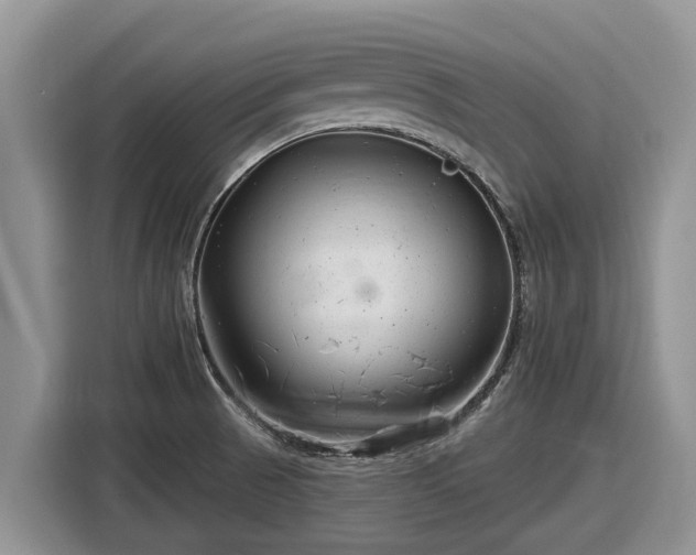 X0000116871521200912291309