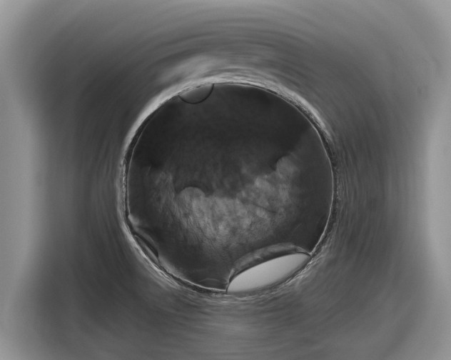 X0000116871522200912291309