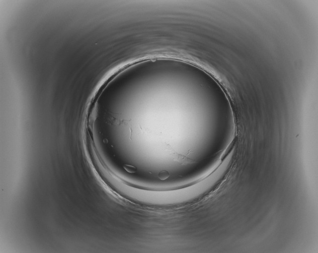X0000116871523200912291309